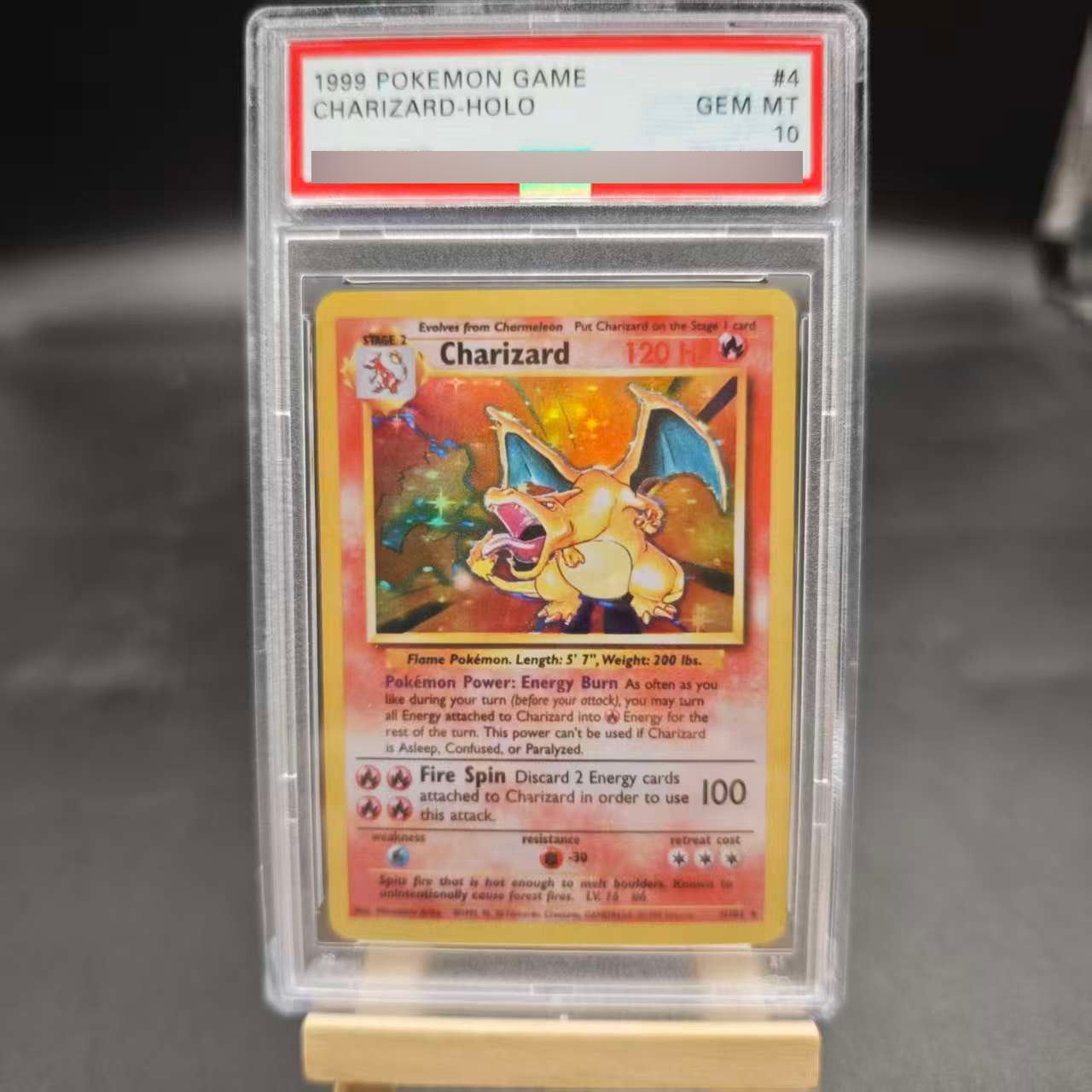 DIY 1ST Venusaur Gyarados Char – Board Game Diy recenzja i cena