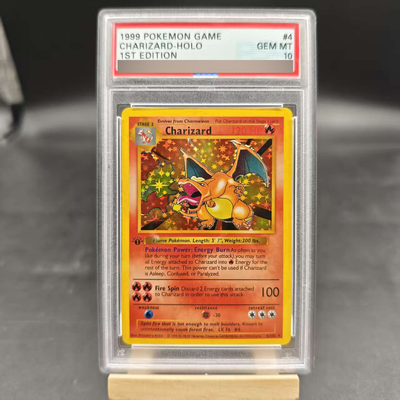 DIY 1ST Venusaur Gyarados Char – Board Game Diy recenzja i cena