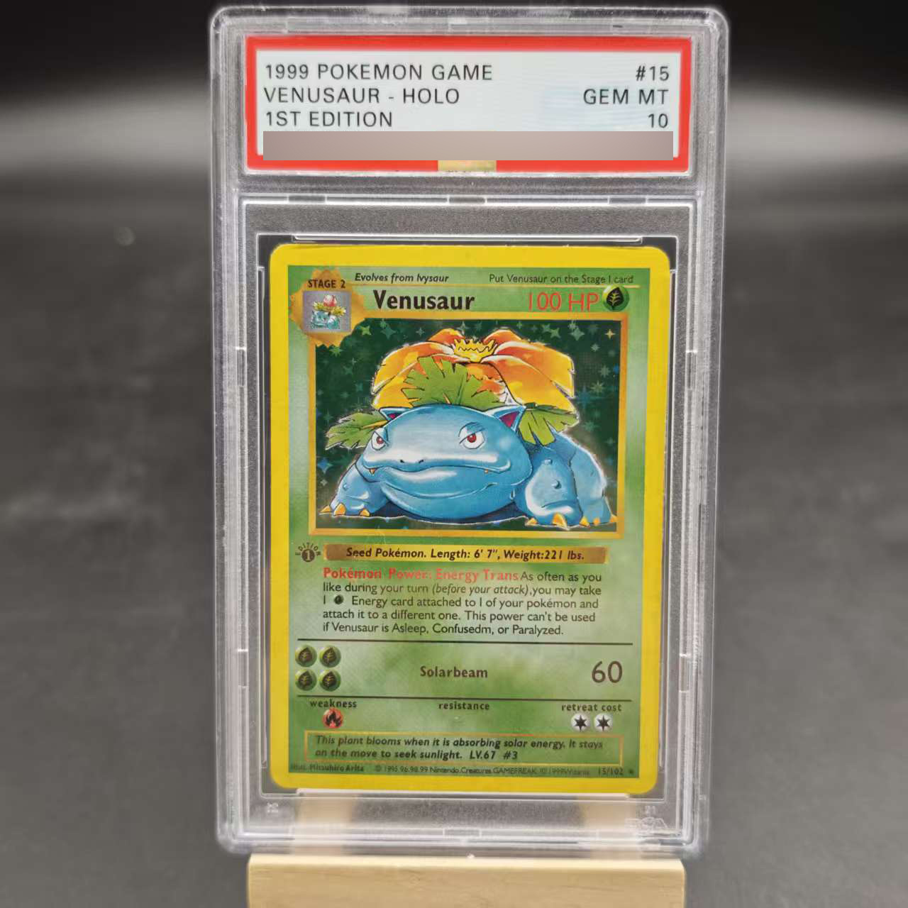 DIY 1ST Venusaur Gyarados Char – Board Game Diy recenzja i cena